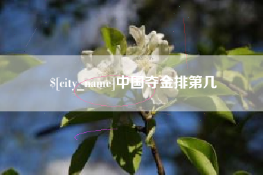 安徽中国夺金排第几