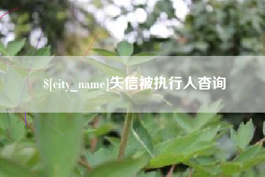 安徽失信被执行人杳询