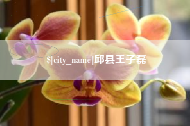 安徽邱县王子磊