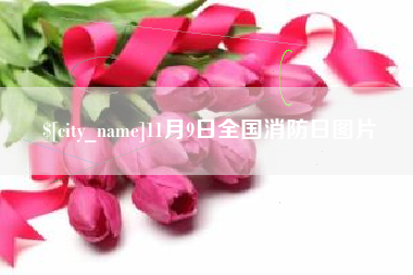 安徽11月9日全国消防日图片