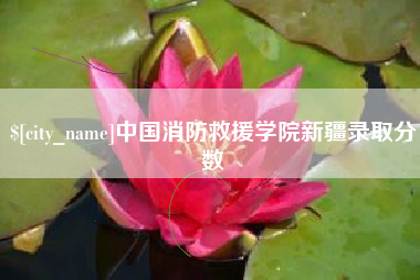 安徽中国消防救援学院新疆录取分数