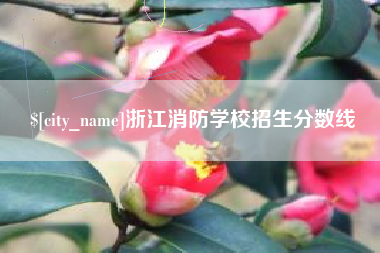 安徽浙江消防学校招生分数线