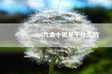 安徽九金十银是干什么的