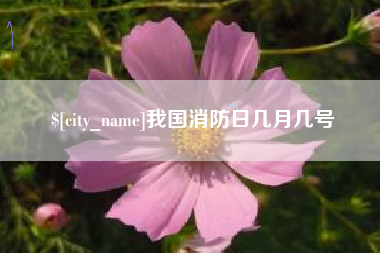 安徽我国消防日几月几号