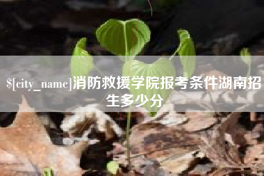 安徽消防救援学院报考条件湖南招生多少分