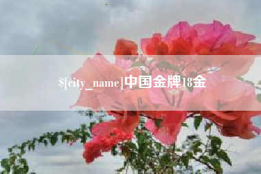 安徽中国金牌18金