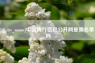 安徽中国执行信息公开网是黑名单吗