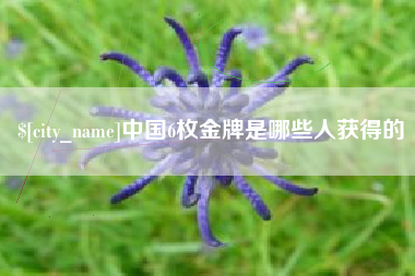 安徽中国6枚金牌是哪些人获得的