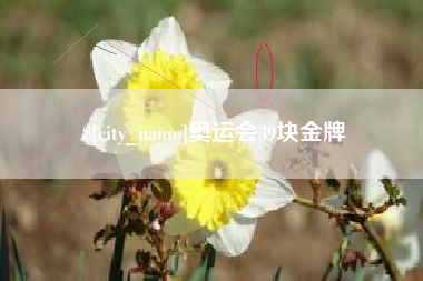 安徽奥运会39块金牌
