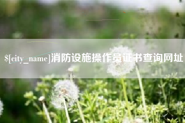 安徽消防设施操作员证书查询网址