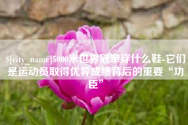 安徽5000米世界冠军穿什么鞋-它们是运动员取得优异成绩背后的重要“功臣”