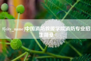 安徽中国消防救援学院消防专业招生简章