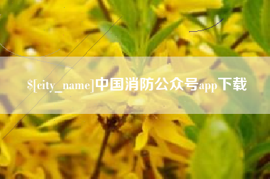 安徽中国消防公众号app下载