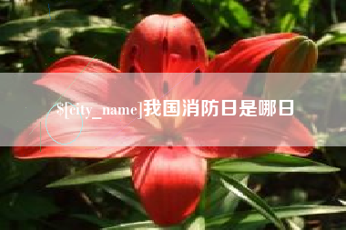 安徽我国消防日是哪日