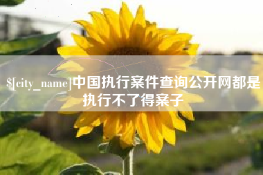 安徽中国执行案件查询公开网都是执行不了得案子