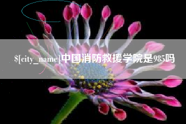 安徽中国消防救援学院是985吗