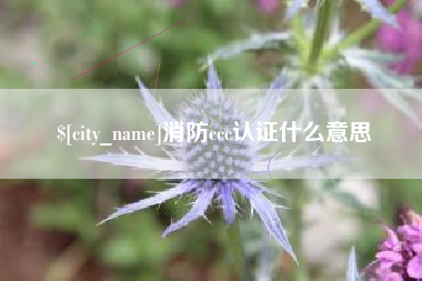 安徽消防ccc认证什么意思