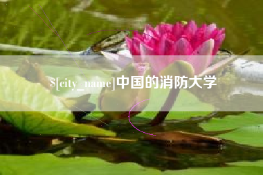 安徽中国的消防大学