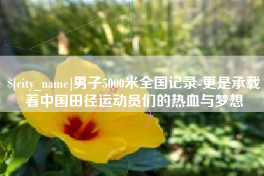 安徽男子5000米全国记录-更是承载着中国田径运动员们的热血与梦想