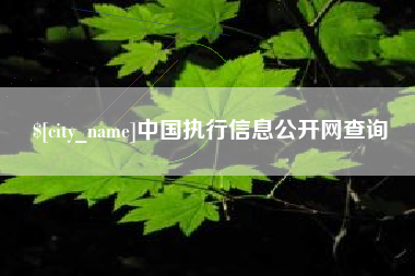 安徽中国执行信息公开网查询
