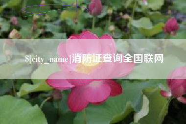 安徽消防证查询全国联网