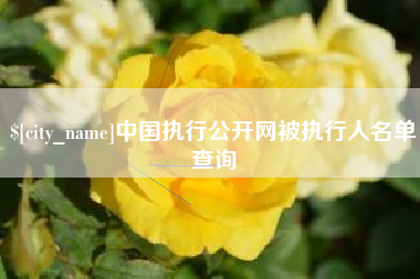 安徽中国执行公开网被执行人名单查询