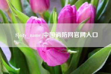安徽中国消防网官网入口