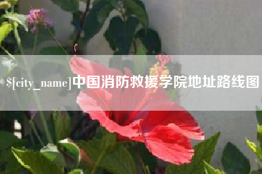 安徽中国消防救援学院地址路线图
