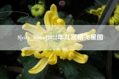 安徽2022年九宫格飞星图