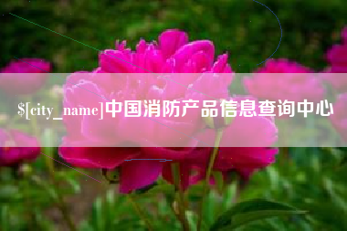 安徽中国消防产品信息查询中心