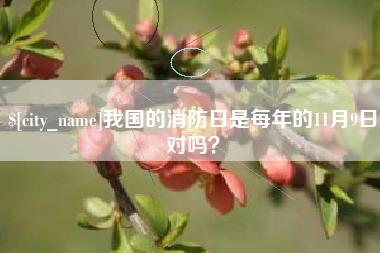 安徽我国的消防日是每年的11月9日对吗？