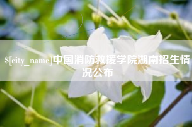 安徽中国消防救援学院湖南招生情况公布