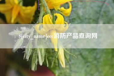 安徽ccc消防产品查询网