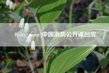 安徽中国消防公开课回放