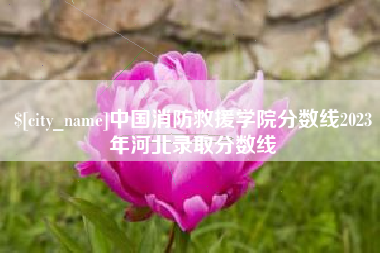 安徽中国消防救援学院分数线2023年河北录取分数线