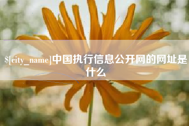 安徽中国执行信息公开网的网址是什么