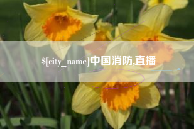安徽中国消防,直播
