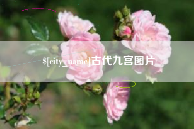 安徽古代九宫图片