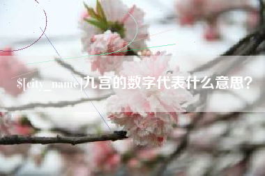 安徽九宫的数字代表什么意思？