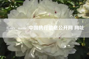 安徽中国执行信息公开网 网址