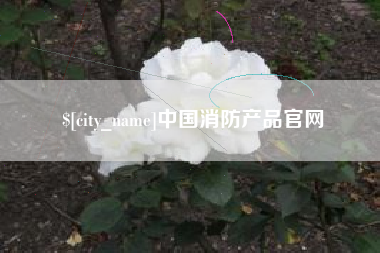 安徽中国消防产品官网