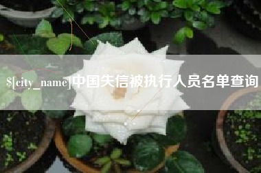 安徽中国失信被执行人员名单查询