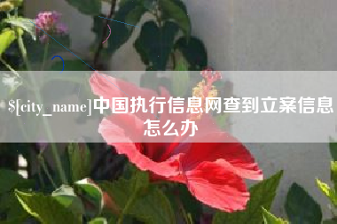 安徽中国执行信息网查到立案信息怎么办