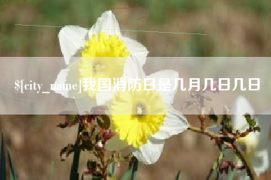 安徽我国消防日是几月几日几日