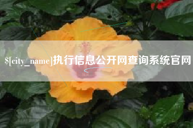 安徽执行信息公开网查询系统官网