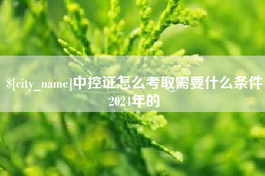 安徽中控证怎么考取需要什么条件2024年的