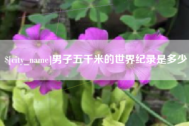 安徽男子五千米的世界纪录是多少