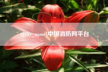 安徽中国消防网平台