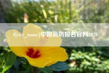 安徽中国消防报名官网2020