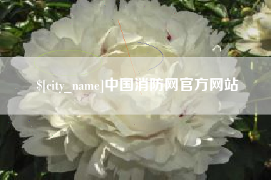 安徽中国消防网官方网站